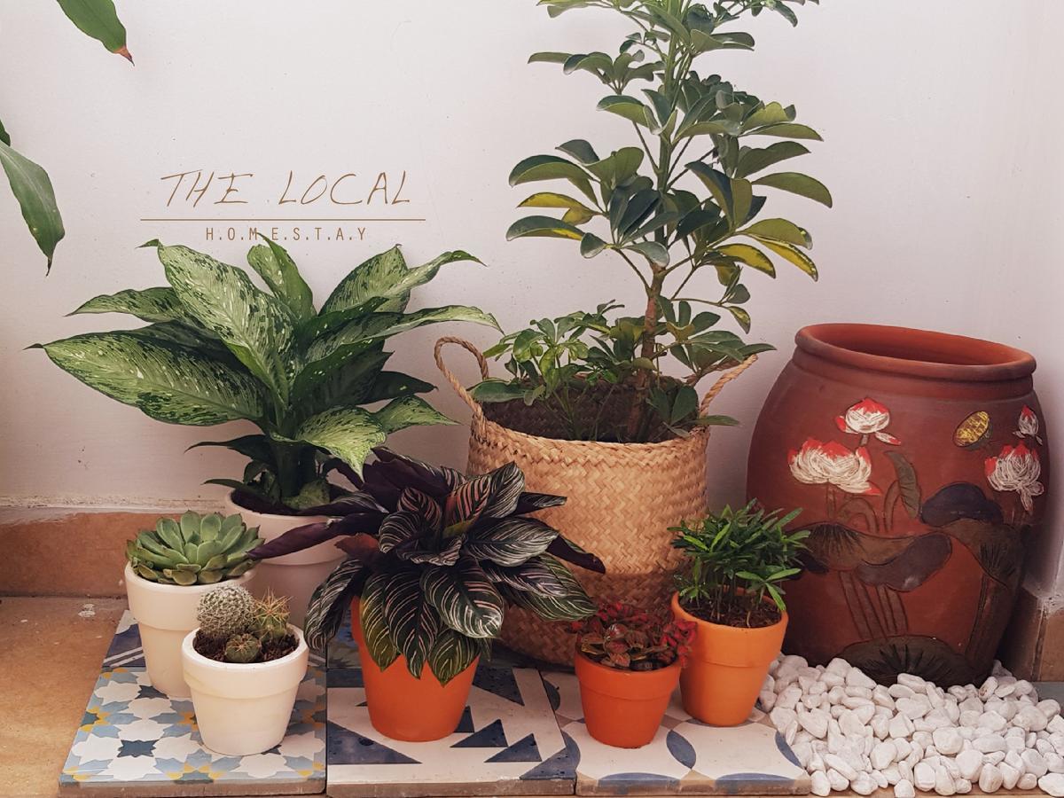 The Local Bed & Breakfast TP. Hồ Chí Minh